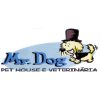 Mr. Dog