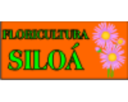 Floricultura Siloá