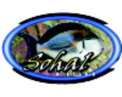 Sohal Fish