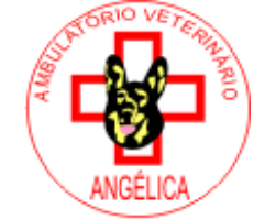 Clínica Veterinária Angélica